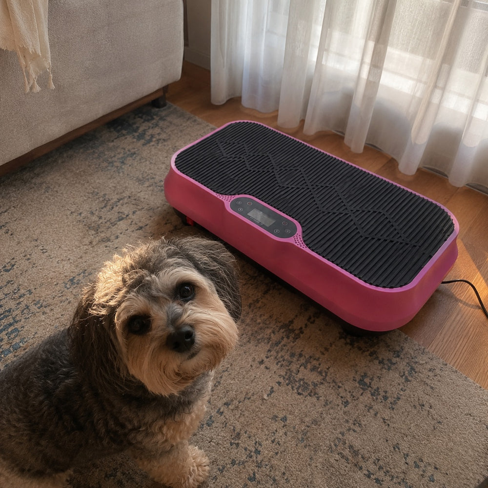 A small dog sitting on the rug beside the pink Nuvé plate